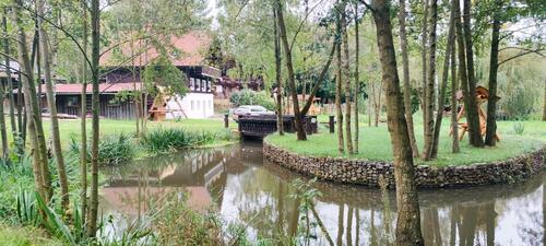 Foto - 5 Zimmer Einfamilienhaus zum Kaufen in Schönau