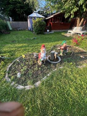 Foto - Schrebergarten im Kleingartenverein Kassel-Osterholz