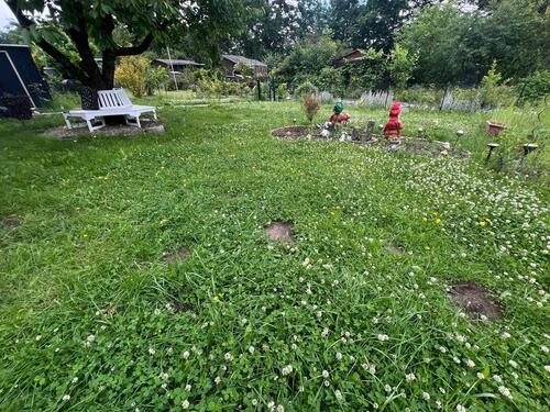 Foto - Grundst&uuml;ck in Söhrewald zur Miete