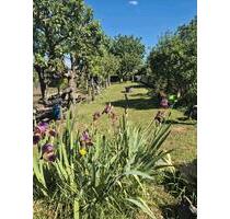 Pachtgarten in Siebleben - 3.200,00 EUR Kaltmiete, ca.  0,00 m² in Gotha (PLZ: 99867)