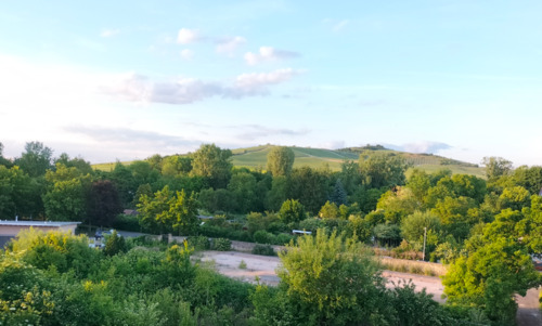 Foto - Erstbezug einer 2 Zimmer DG Wohnung mit Balkon in Gau-Odernheim