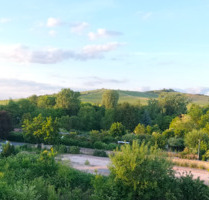 Erstbezug einer 2 Zimmer DG Wohnung mit Balkon in Gau-Odernheim