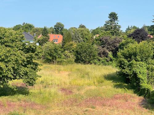 Foto - Traumwohnung in Wandlitz: 3 Zimmer 