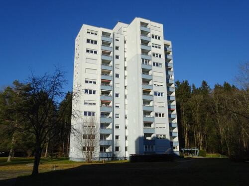 Foto - 4-Zi.-Wohnung mit Balkon und Bergblick in Wangen-Waltersbühl