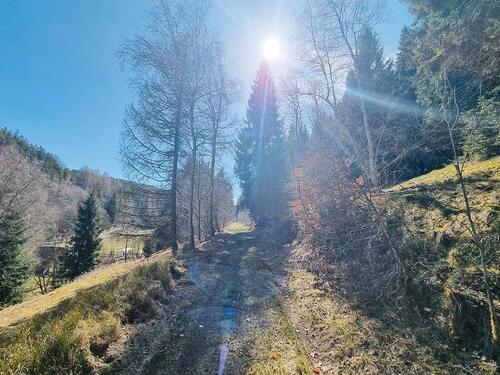 Foto - Grundst&uuml;ck zum Kaufen in Neuhaus am Rennweg