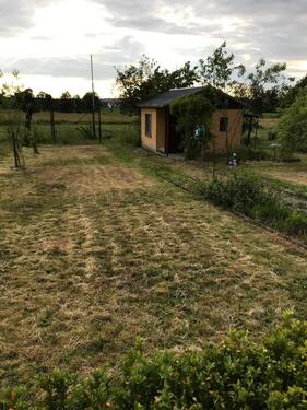 Foto - Grundst&uuml;ck zur Miete in Königsbrück