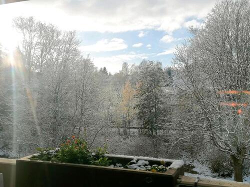 Foto - Schöne & helle 2-Z.-Wohnung mit Blick ins Grüne + Stellplatz