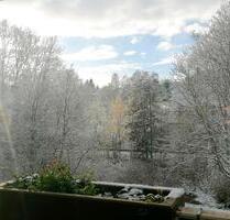 Schöne & helle 2-Z.-Wohnung mit Blick ins Grüne + Stellplatz - Villingen-Schwenningen