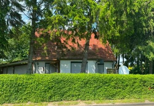 Foto - 6 Zimmer Einfamilienhaus zum Kaufen in Laage
