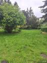 Foto - 6 Zimmer Einfamilienhaus in Laage