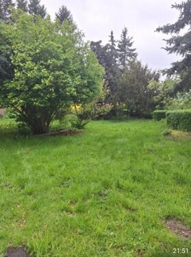 Foto - 6 Zimmer Einfamilienhaus in Laage