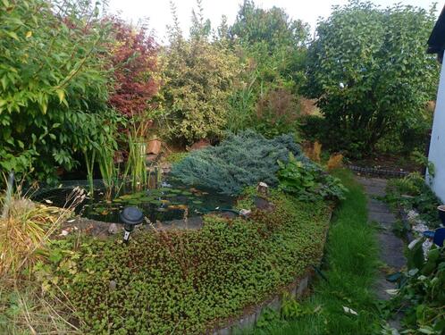 Foto - Grundst&uuml;ck zur Miete in Chemnitz