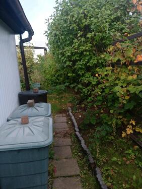 Foto - Grundst&uuml;ck in Chemnitz zur Miete