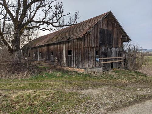 Foto - Grünland Viehweide mit Wald, Stadel und Hütte bei Unterthingau