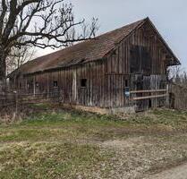 Grünland Viehweide mit Wald, Stadel und Hütte bei Unterthingau