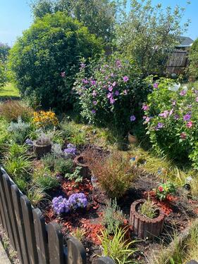 Foto - Grundst&uuml;ck zur Miete in Wittenberg Lutherstadt