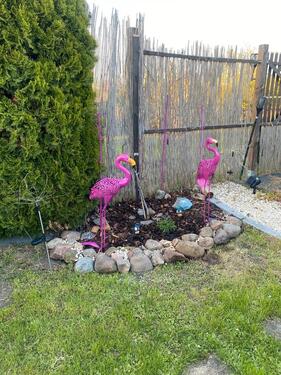 Foto - Grundst&uuml;ck in Wittenberg Lutherstadt