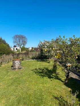 Foto - Grundst&uuml;ck in Wittenberg Lutherstadt zur Miete