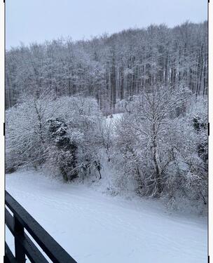 Foto - Helle 3-Zimmer-Wohnung in Groß-Buseck – provisionsfrei