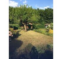 Kleingarten Hainholz Hannover - 3.500,00 EUR Kaltmiete, ca.  0,00 m² in Hannover (PLZ: 30163) Vahrenwald-List