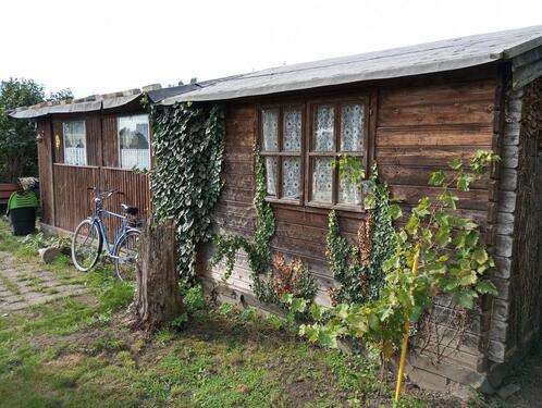 Foto - Grundst&uuml;ck zur Miete in Magdeburg