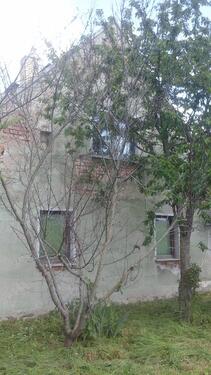 Foto - Einfamilienhaus in Mockrehna