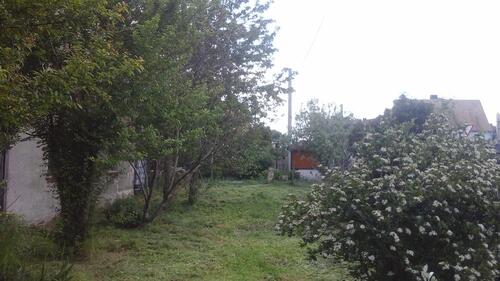 Foto - Einfamilienhaus in Mockrehna zum Kaufen