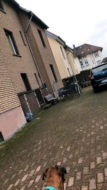 Foto - Mehrfamilienhaus, Wohnhaus zum Kaufen in Geseke