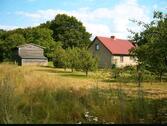 Foto - Naturgrundstück mit Haus und eigenem Wald Obstbäumen Scheune