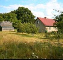 Naturgrundstück mit Haus und eigenem Wald Obstbäumen Scheune - Plau am See