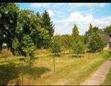 Foto - Einfamilienhaus zum Kaufen in Plau am See