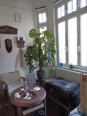 Foto - 1,5 Zimmer, Bad, 23qm für Azubis oder Studenten