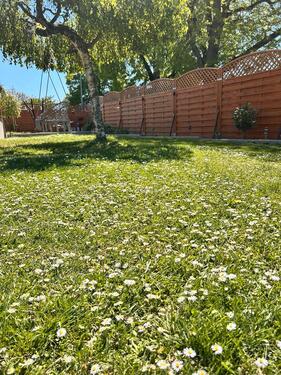 Foto - 5 Zimmer Einfamilienhaus zum Kaufen in Donnersdorf