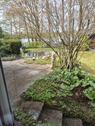 Foto - Einfamilienhaus in Bordesholm zur Miete
