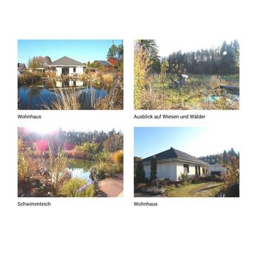 Foto - Zu Vermieten ab 032026: Top gepflegter Bungalow in Roth-Bernlohe