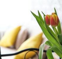 WILLKOMMEN DAHEIM ! Schnuckelige 2-Zi-Whg, WF 51 m², Chiemsee & Alpen - Bernau am Chiemsee