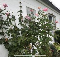 2-Zimmer-Wohnung in Koblenz-Horchheim