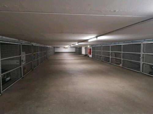 Foto - andere in Kerpen