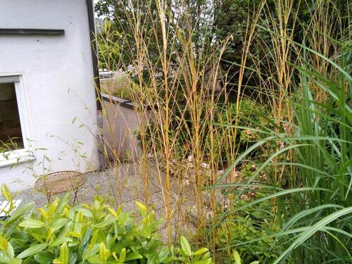 Foto - 3.5 Zimmer Doppelhaushälfte in Winterbach