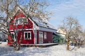 Foto - andere in Lychen