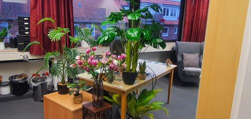 Foto - andere in Hamburg zur Miete