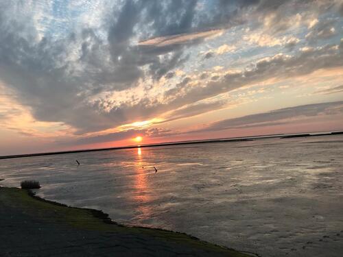 Foto - Kleines StudioAppartement für individuelle Gäste