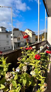 Foto - sehr helles und freundliches Einzelzimmer Wohnung