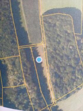 Foto - Wiese bei Hersbruck Kleedorf zu verpachten