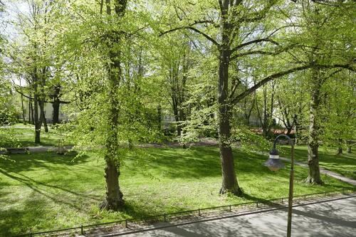Foto - Etagenwohnung in Rostock
