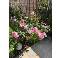 Bauernhaus in Gumbsheim zu vermieten - Gau-Bickelheim