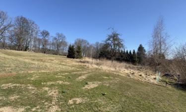 Foto - 4 Zimmer Einfamilienhaus in Schirgiswalde-Kirschau