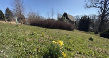 Foto - Einfamilienhaus in Schirgiswalde-Kirschau zum Kaufen