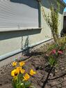 Foto - Einfamilienhaus zum Kaufen in Wiesenburg/Mark