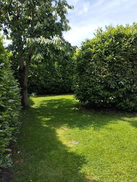 Foto - Einfamilienhaus in Weiterstadt